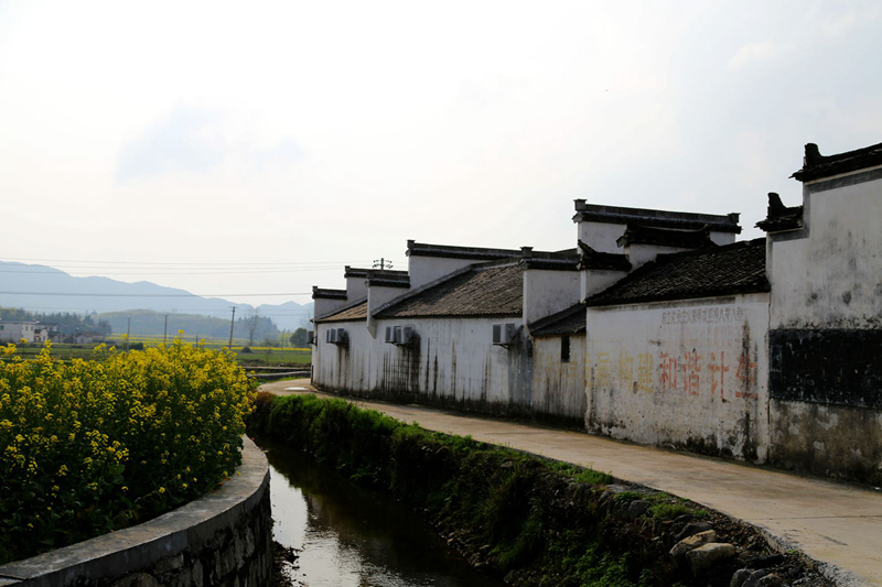 img_9897_副本_副本.jpg