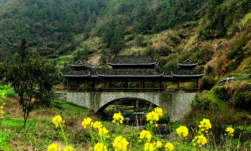 img_9276_副本_副本.jpg