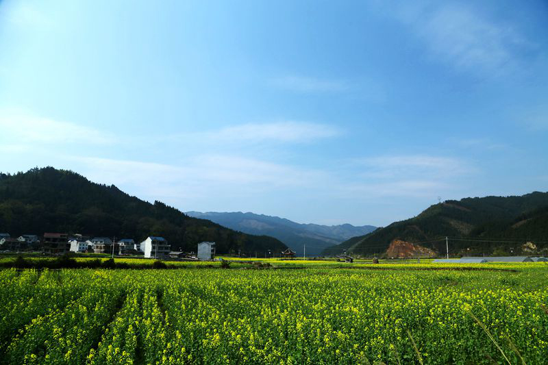 img_8522_副本_副本.jpg
