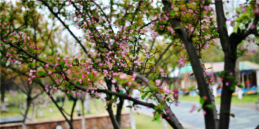 dsc_4654_.jpg
