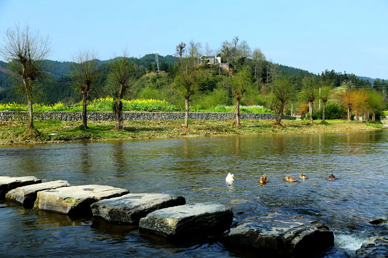 img_8586__.jpg