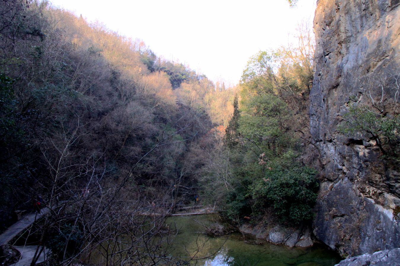 wlh 088_.jpg