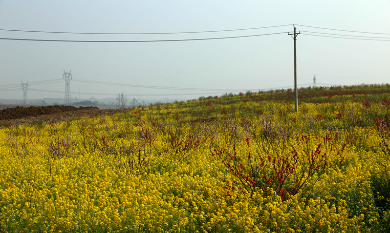 img_6324_副本.jpg