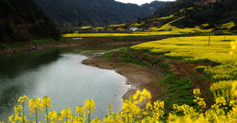 img_6363_副本_副本.jpg