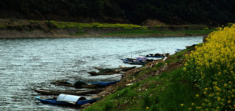 img_6635__.jpg