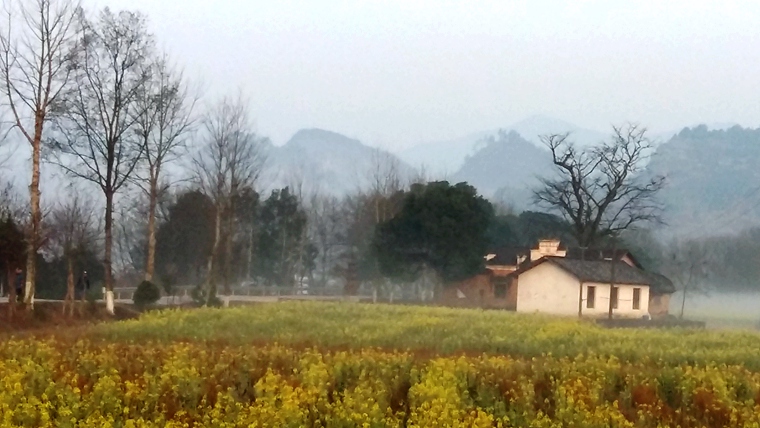 20170226_072610_.jpg