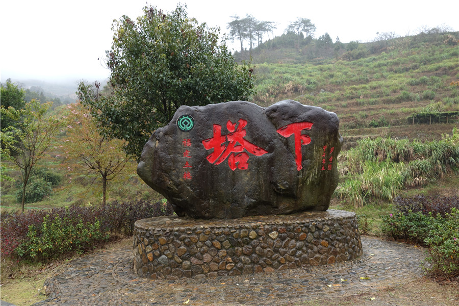 dsc00479_副本1.jpg