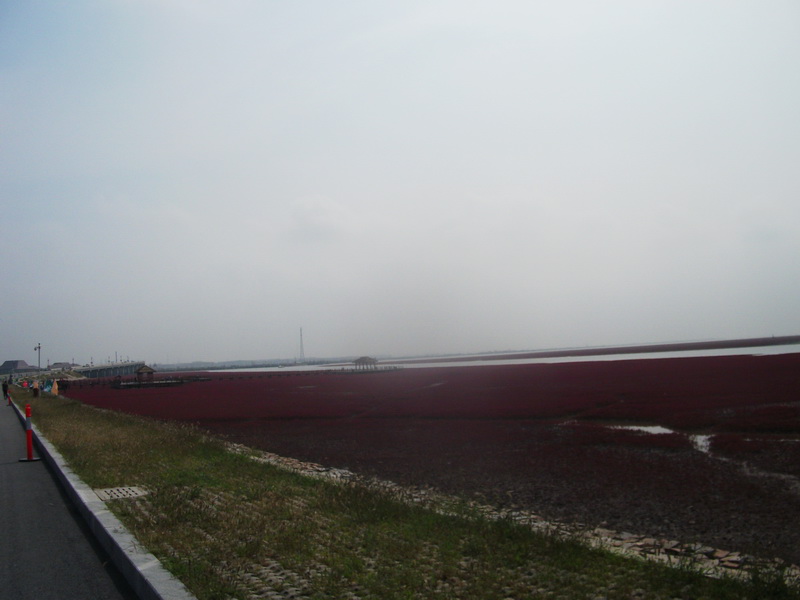 dscf0124.jpg