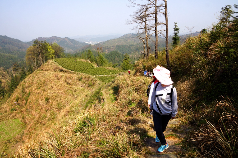 祖源岭古道11.jpg