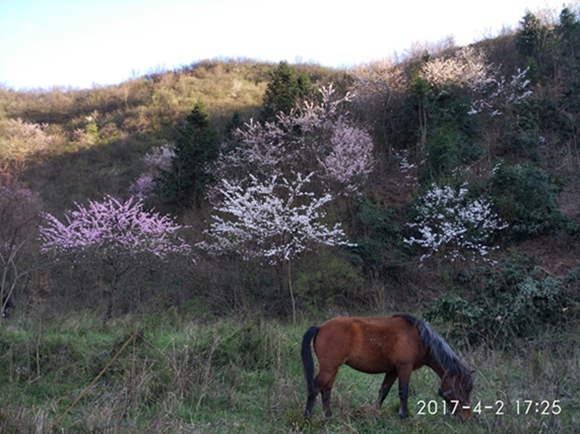 img_20170402_172542.jpg
