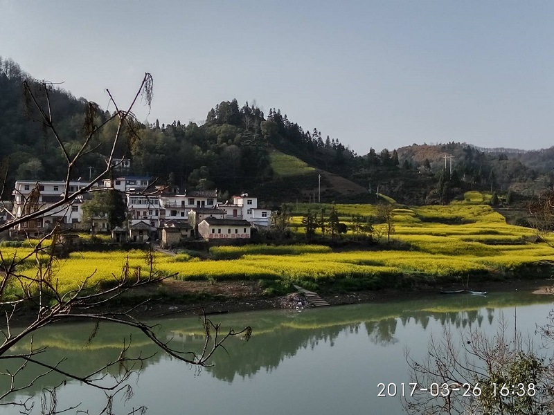 img_20170326_163846_hdr.jpg