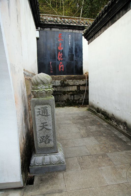 img_7990.jpg