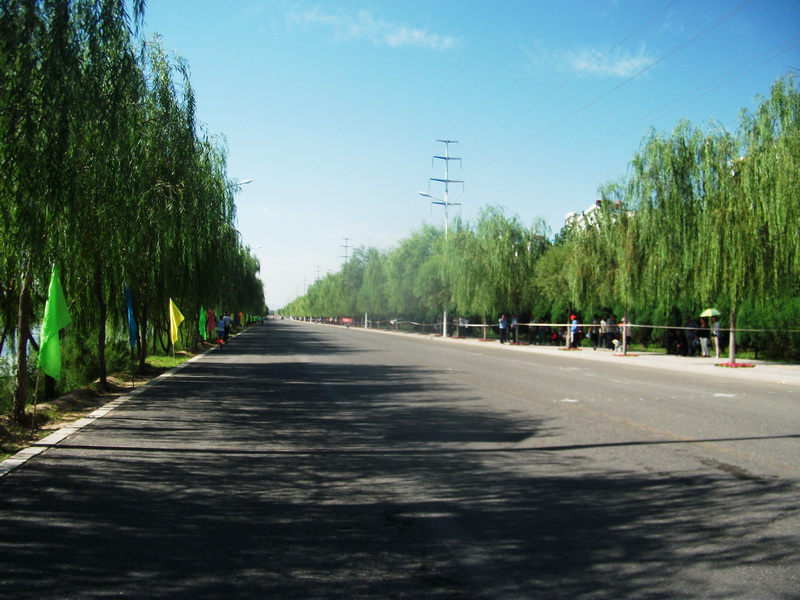 dscf0136.jpg
