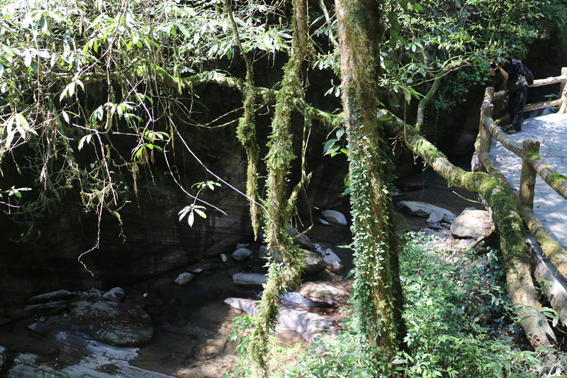 img_7974_.jpg