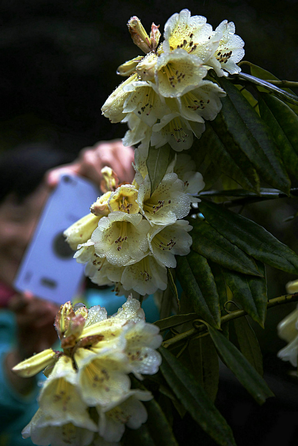 _45a9548.jpg