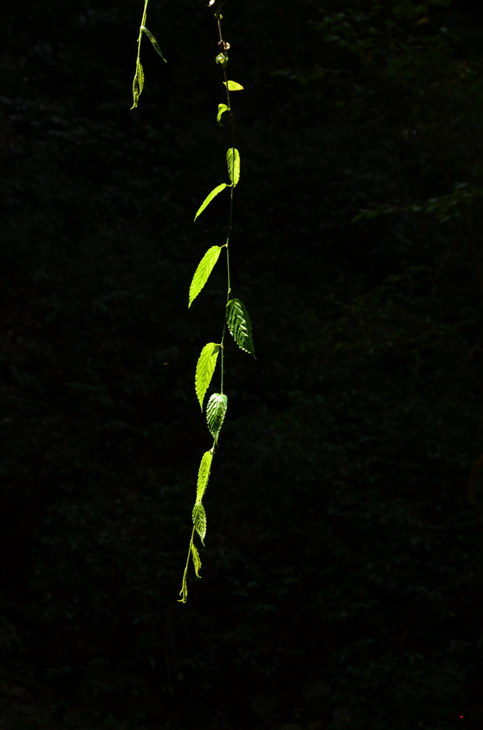 dsc_6953.jpg