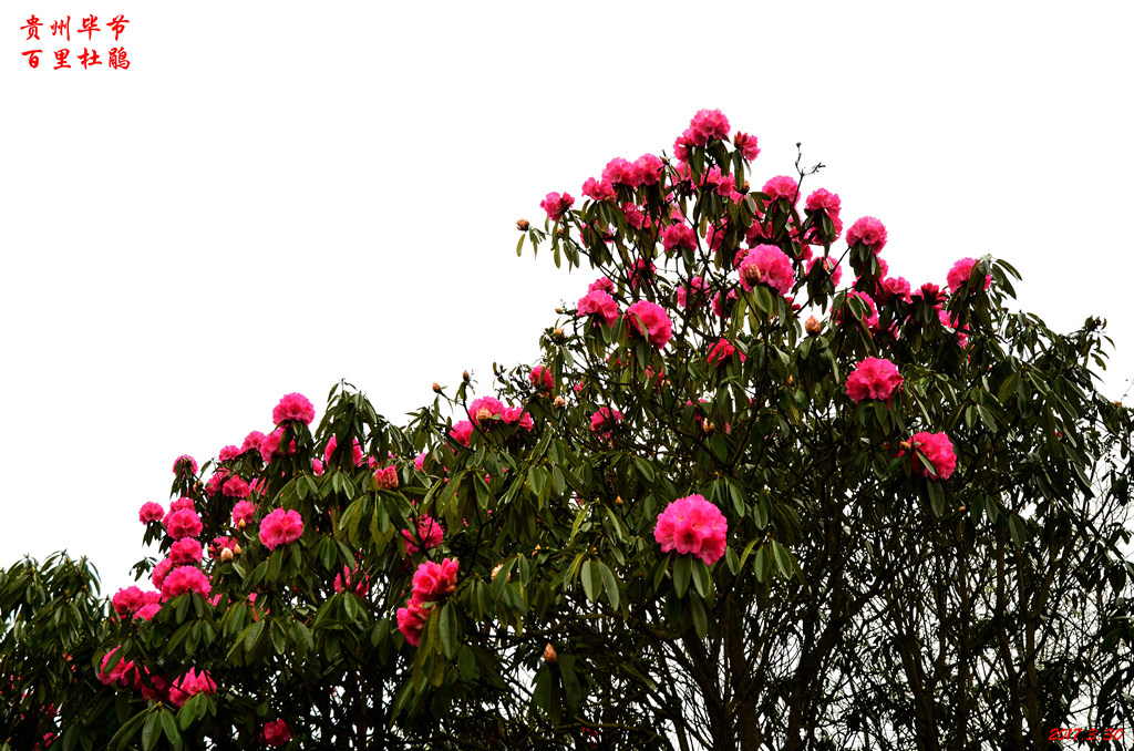 dsc_5973.jpg