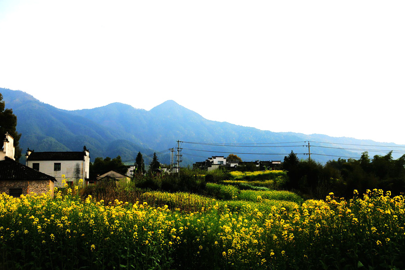 img_9896__.jpg