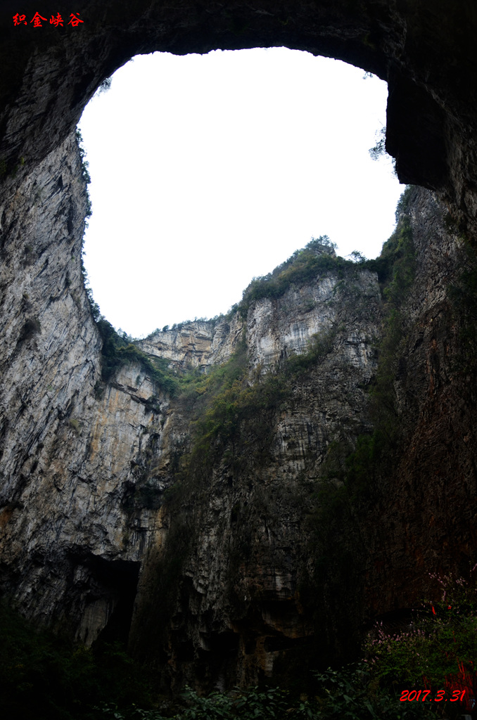 dsc_6347.jpg