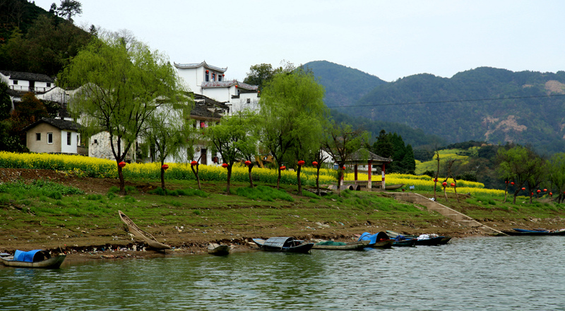 img_6459__.jpg