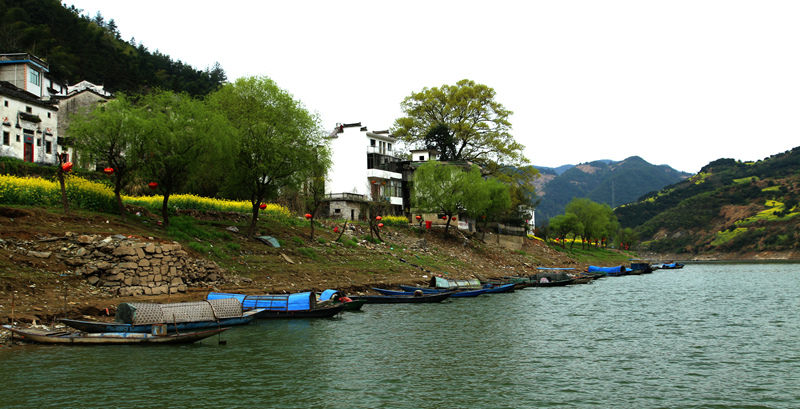 img_6450__.jpg