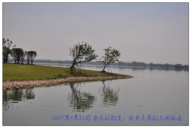 东湖绿道089.jpg