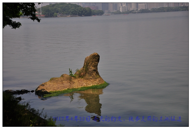 东湖绿道288.jpg