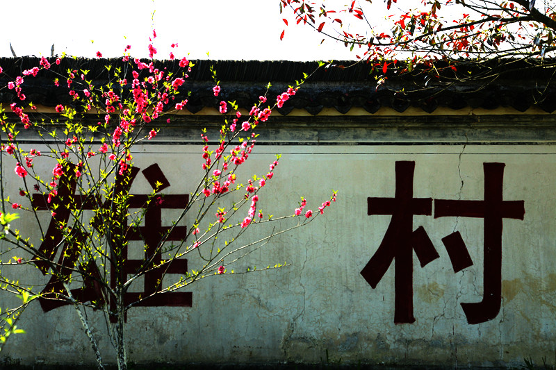 img_6914_副本_副本.jpg