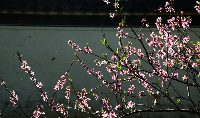 img_6933_副本_副本.jpg