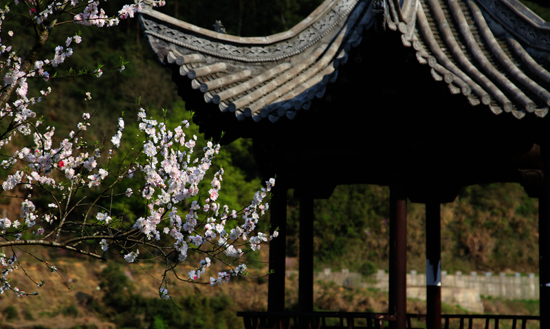 img_6984_副本_副本.jpg