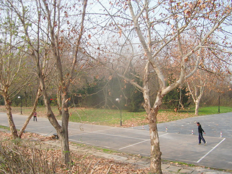 dscf0077.jpg