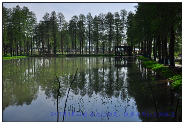 东湖绿道017.jpg