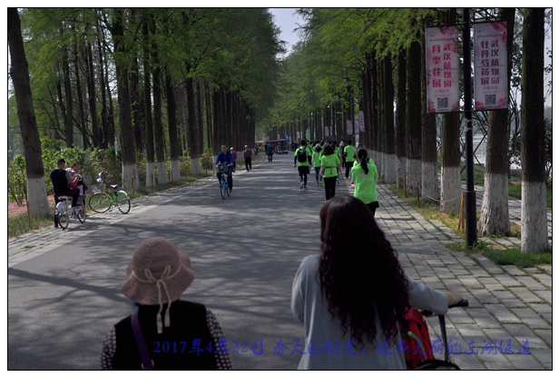 东湖绿道010.jpg