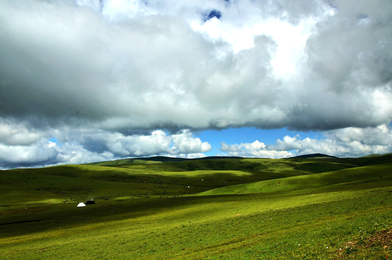 dsc_7987.jpg