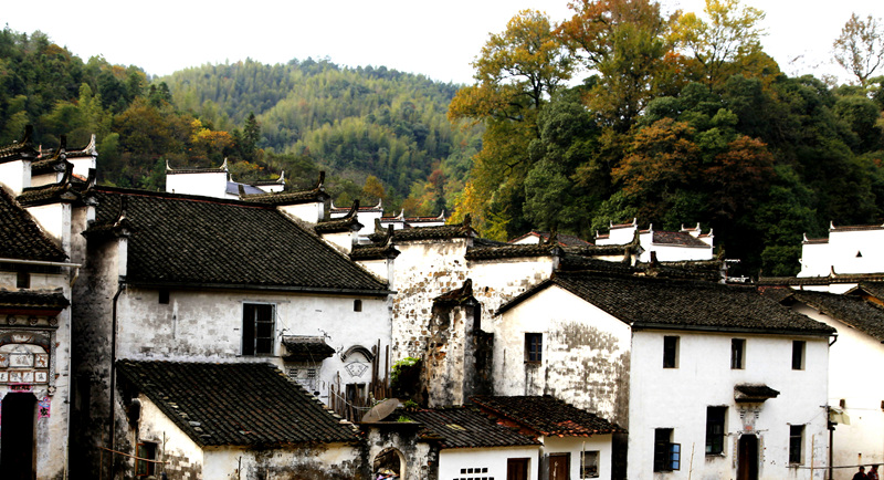 _mg_0146__.jpg