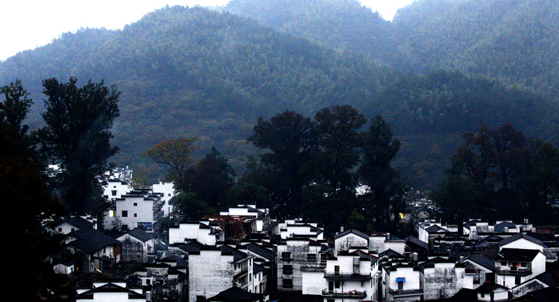 _mg_0235__.jpg