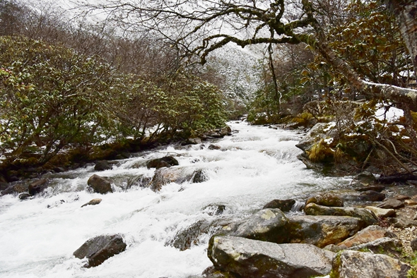 _dsc5928_副本.jpg