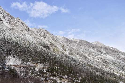 _dsc5961_副本.jpg