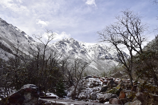 _dsc5992_副本.jpg