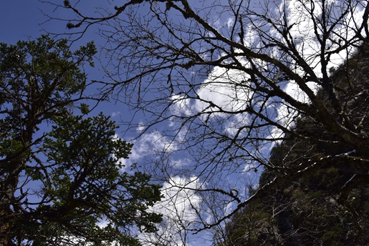 _dsc5996_副本.jpg