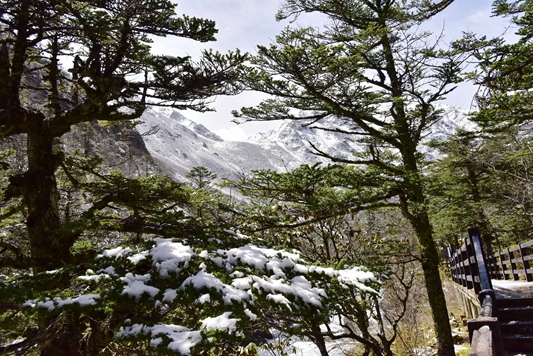 _dsc6005_副本.jpg