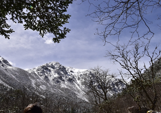 _dsc5995_副本.jpg