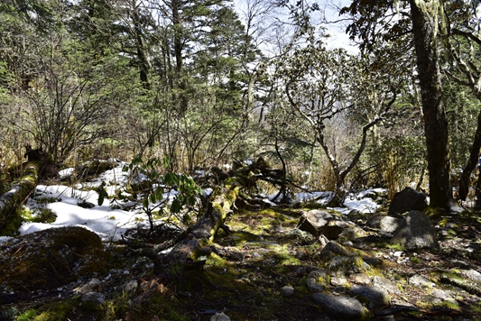 _dsc6042_副本.jpg