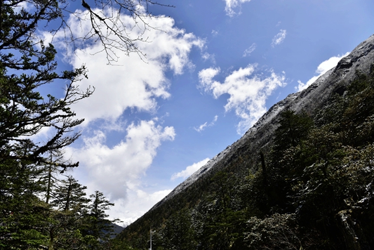 _dsc6016_.jpg