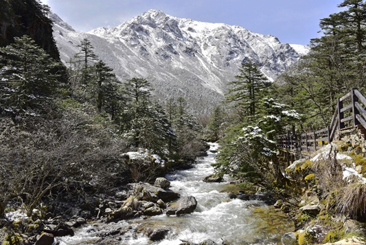 _dsc6013_.jpg