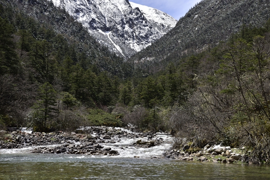 _dsc6095_副本.jpg