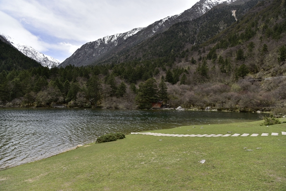 _dsc6132_.jpg