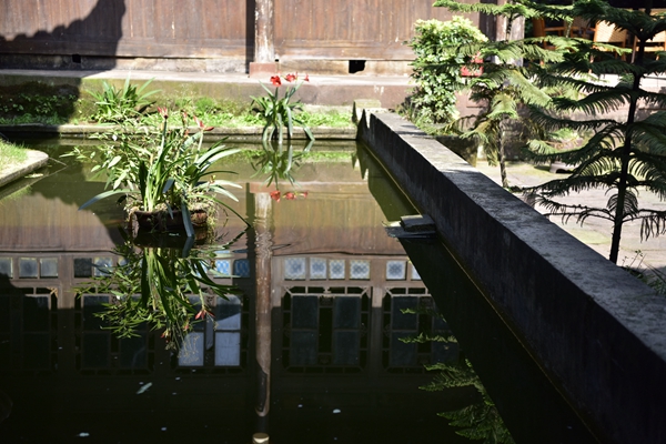 _dsc6576.jpg