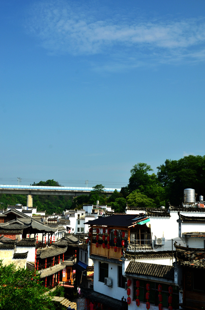 dsc_9268.jpg