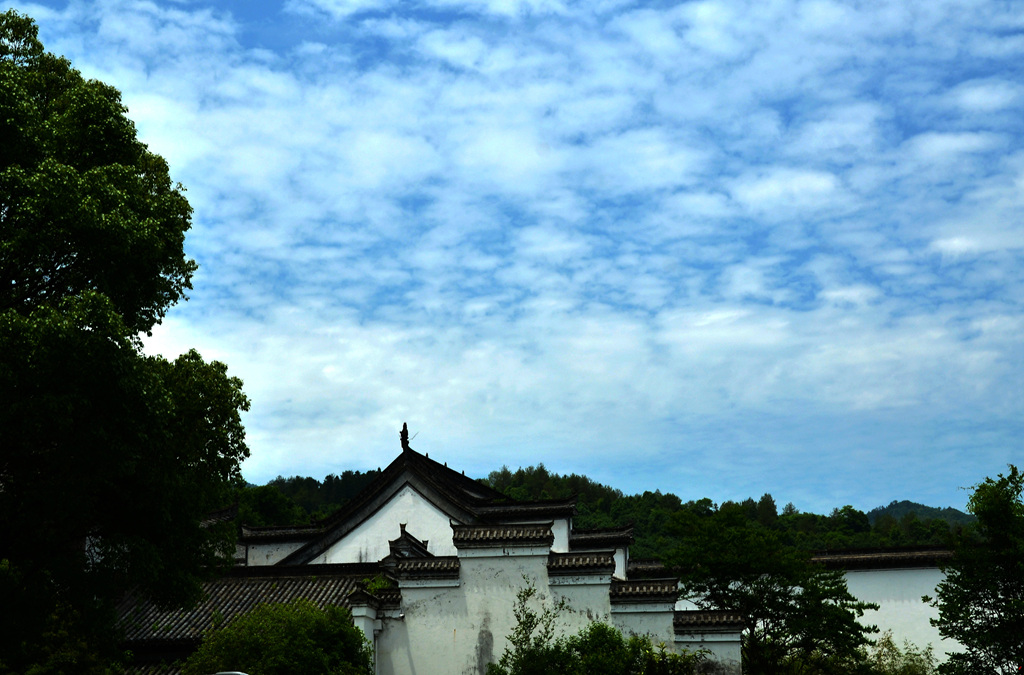 dsc_9480.jpg